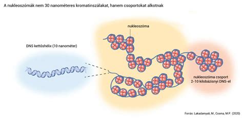 A DNS-javító mechanizmusok illusztrációja