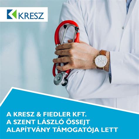 Őssejt-transzplantáció folyamatábrája