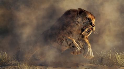 Takkar, amint egy kardfogú tigrissel harcol