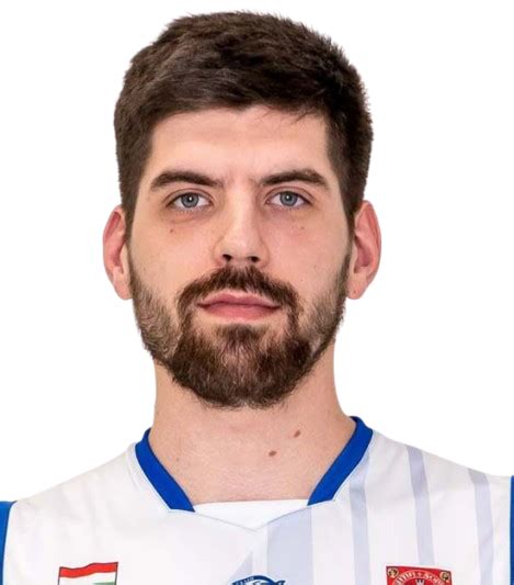 Kucsera Dániel kosárlabdázó portréja