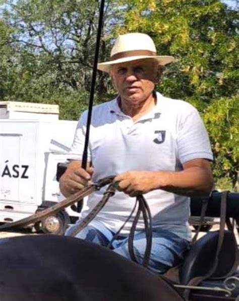 Juhász László fogathajtás közben