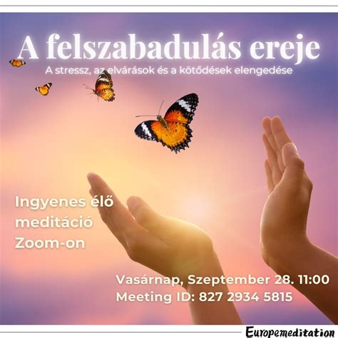 békés meditációs környezet és bölcsesség