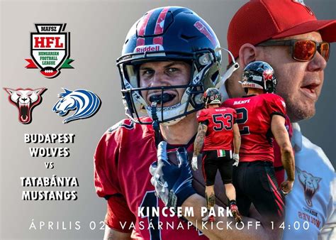 A Budapest Wolves csapatának mérkőzése