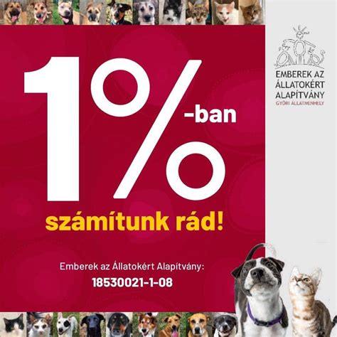 Kihajló peremű tálak peremátmérőinek eloszlása Divostinból