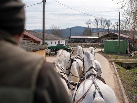 Magyar négyesfogat akcióban az aacheni pályán