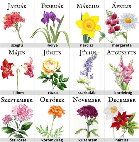 Virágok szimbolikus jelentései infografika