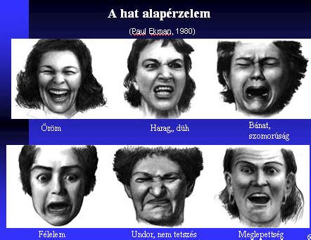 Lufimesék karakterei és az alapérzelmek vizuális megjelenítése