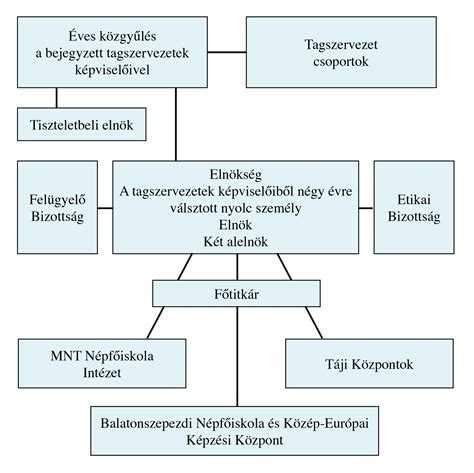 Szervezeti ábra az egyetemi vezetésről