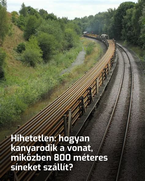 Gerincsérült mozdulatlanítása és szállítása