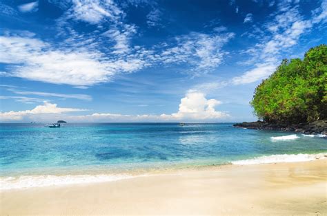 Indonéziai táj (Borneó vagy Bali)