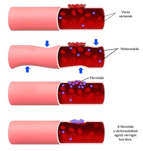 Drogtesztelés folyamata