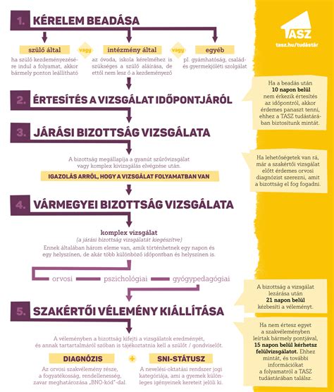 Szakértői vizsgálat és minőségellenőrzés folyamata sporteszközöknél
