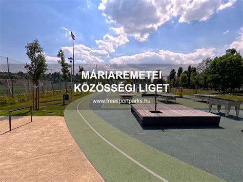 A sportközpont pályáinak elrendezése és a közösségi liget