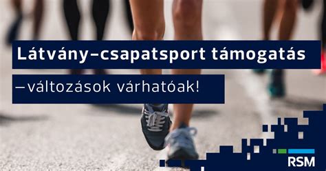 Látvány-csapatsport támogatási rendszerének összefoglaló ábrája