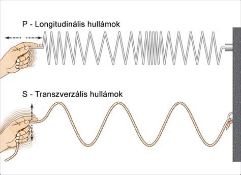 Transzverzális hullám illusztrációja kötélen, ahol a részecskék merőlegesen rezegnek a terjedési irányra