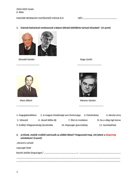 Magyar bajnoki osztályozó szemléltetése