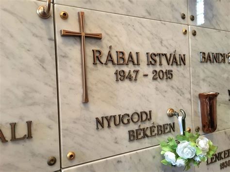 urnafülke elrendezése