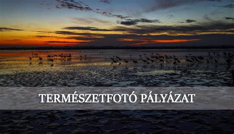 Idilli természetfotó profilképen
