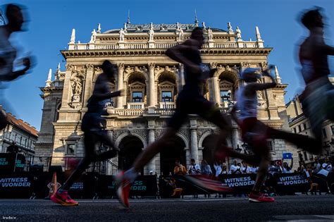 Szpiridon Luisz, az 1896-os maratonfutás győztese