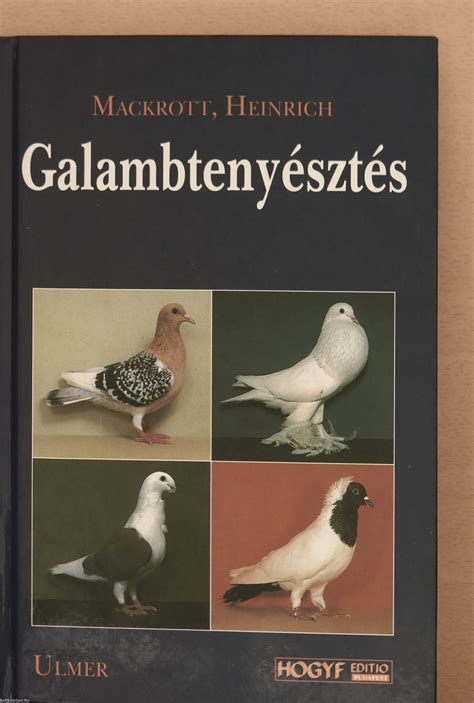 galambtenyésztés és dúc