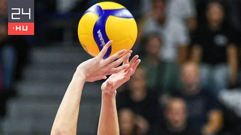 Röplabdázó a hálónál