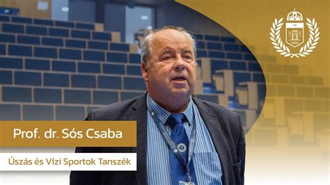 Sós Csaba portréja