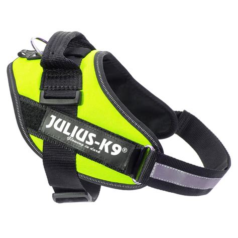 Julius-K9 kutyahám használat közben