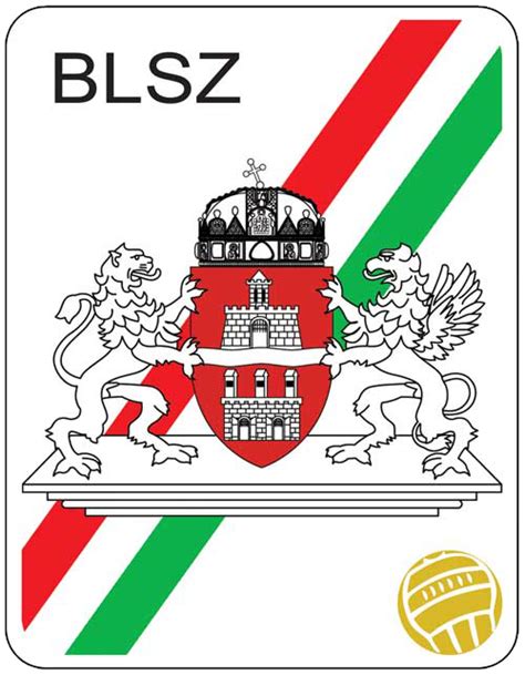 MLSZ Budapesti Igazgatóság logója