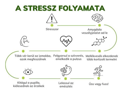 Élsportoló felkészülési stressz