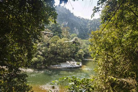 Őserdő a Perućica Erdőrezervátumban