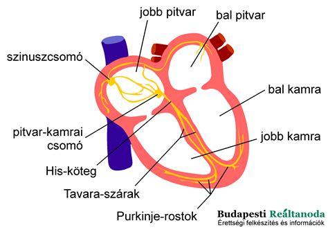 A sütik működése és célja