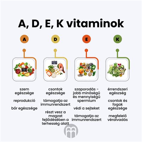 Zsírban és vízben oldódó vitaminok különbségei