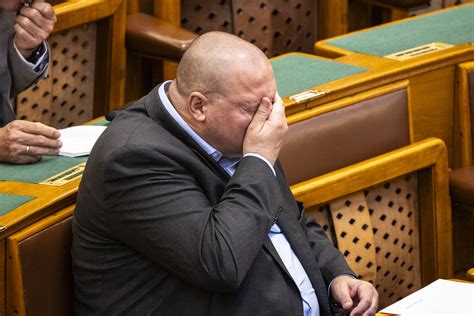 Szilárd Németh edzői pályafutása során