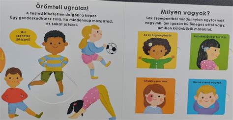 „Ez vagyok én, Zlatan Ibrahimović” könyv borítója