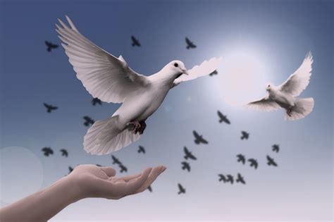 Bor, búza, béke szimbólumai