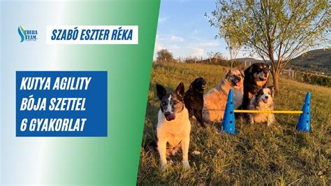 Idősek agility tesztjének elrendezése (szék és 9.5m-es bója)