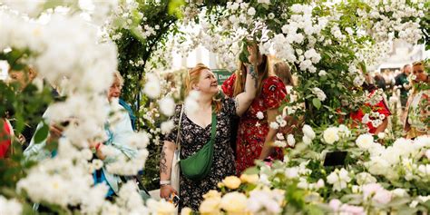 Chelsea Flower Show jegyinformációk infografika