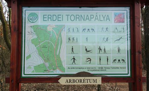 Erdei tornapálya és kondipark elemei
