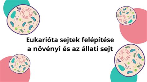 Különböző klubfutball rangsorolási rendszerek összehasonlítása