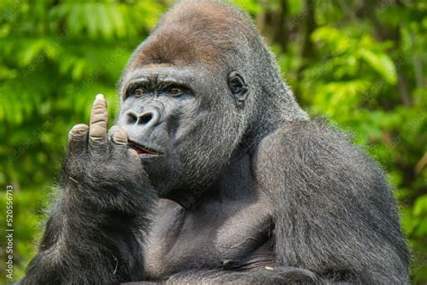 A Baba Is You játékmenetét bemutató képernyőfotó