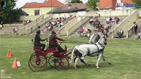 Fogathajtó díjhajtó kocsi illusztráció