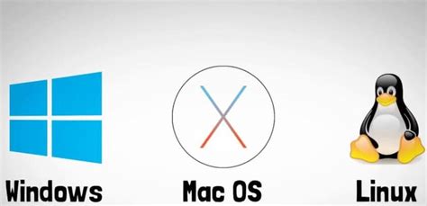 Játékok operációs rendszer követelményei (Windows vs. MacOS)