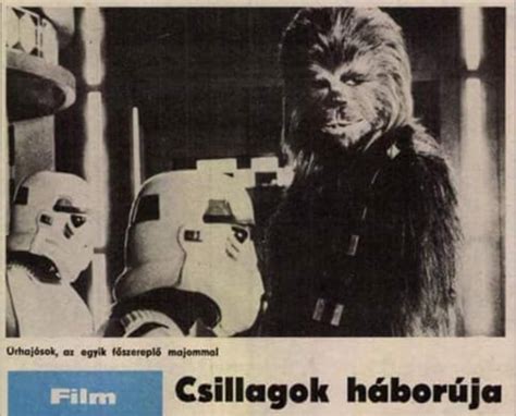 A Vasas csapatának felállása egy korabeli újságból