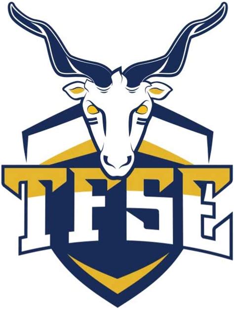TFSE logo és évfordulós ünnepség