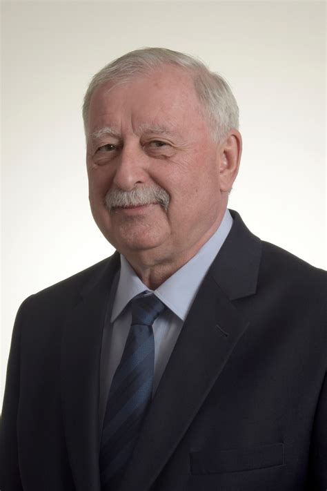 Oláh János röplabdázó portréja