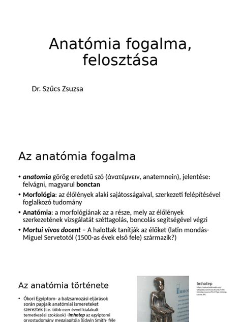 Kosárlabdapálya felosztása