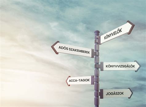 sportolói fejlesztés és pálya-modell grafika