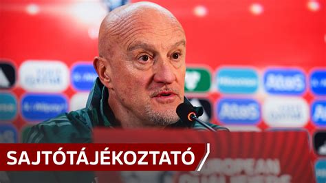 A mérkőzés utáni tömegverekedés a ketrec környékén