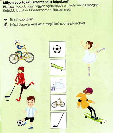 sporteszközök és felszerelések választéka