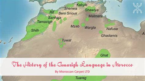Amazigh nomádok lovakkal Észak-Afrikában